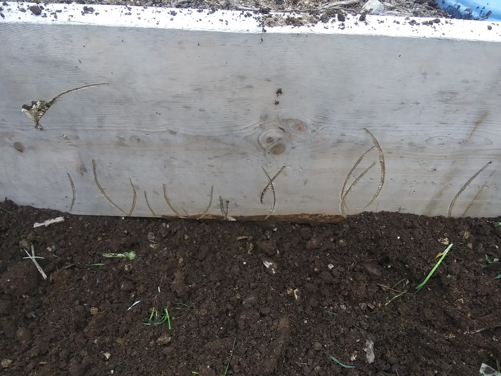 Christopher Greaves SecondEssays_20240608_161733.jpg